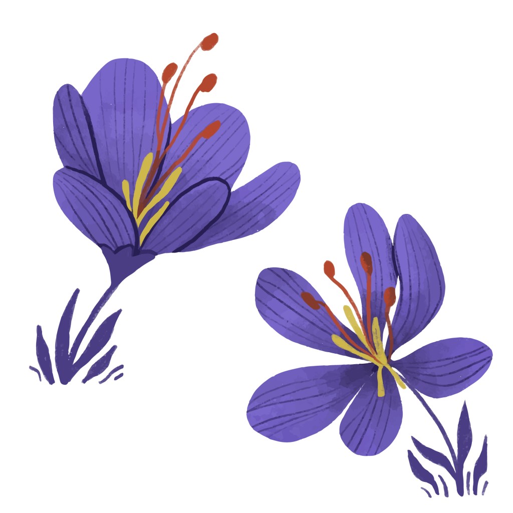 L&rsquo;ukrainien avec Barvinok